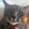 penpenelope524